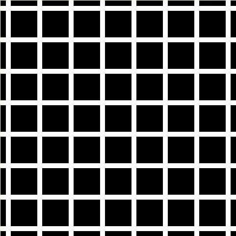 この画像には12個の黒い点があるらしいけど 見えない