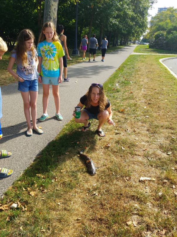 "I was slammed in the face by this thing that had just fallen out of the sky on me," Lobree, who's from Philadelphia, told BuzzFeed News. "I immediately was on the ground and started crying." "My girlfriend then turns around, and screams, 'Oh my god, it was a fish!'"