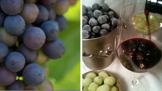 Putting ice cubes in wine is gross, especially when they melt and water everything down. Use frozen grapes instead.