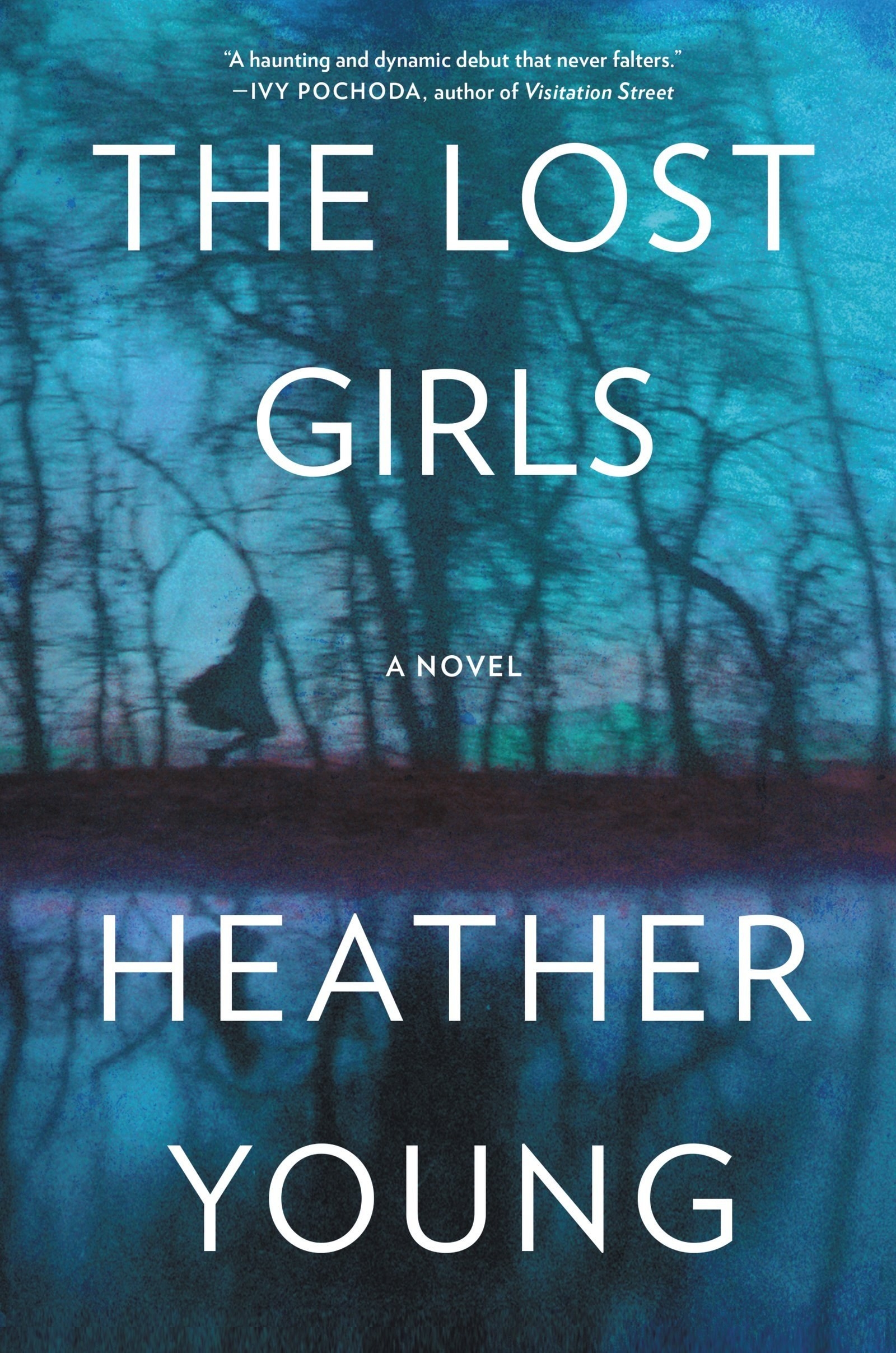 On a isolated Minnesota Lake in 1935, six-year-old Emily Evans disappears from her family’s vacation home. The grief of dealing with her disappearance destroys her family and her father commits suicide. Her mother and two older sisters live at the lake house for their rest of their lives in hopes of her return. When her middle sister Lucy is nearing death, she leaves a notebook of that devastating summer for her grandniece Justine, who unfolds the tragedies that plagued their family’s legacy.