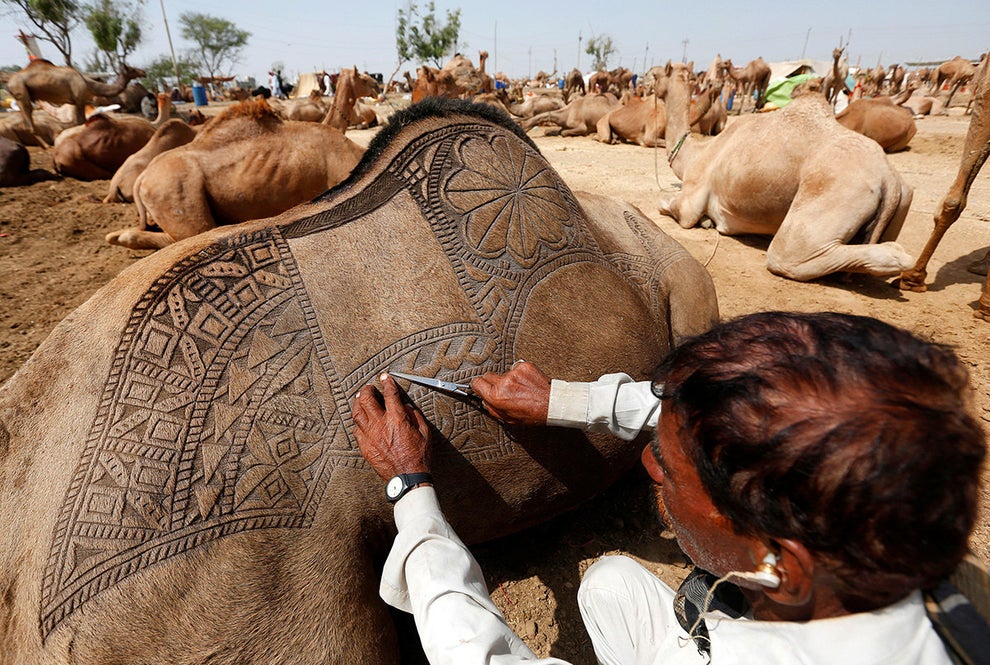 22 Of The Most Powerful Photos Of This Week