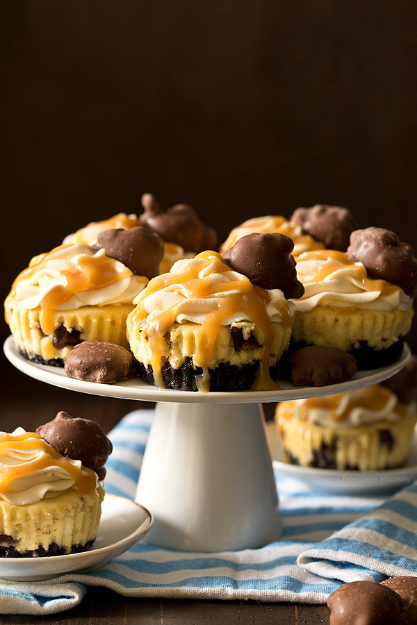 Mini Caramel Cheesecakes