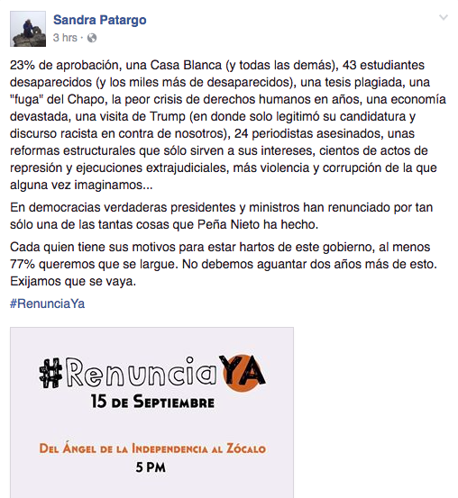 Algunos aprovecharon para numerar todos los motivos que existen para protestar y exigir la renuncia del presidente.