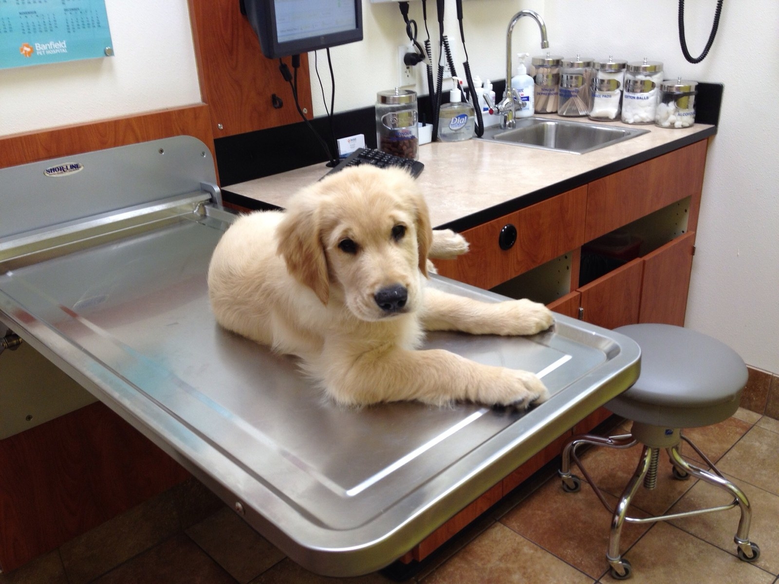 "Do i need that injection ? Really ??"
