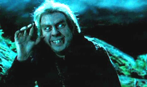 Peter Pettigrew, aka Wormtail