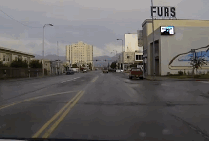 A young black bear sparked a two-hour police chase in downtown Anchorage, Alaska, and this is the moment it started.