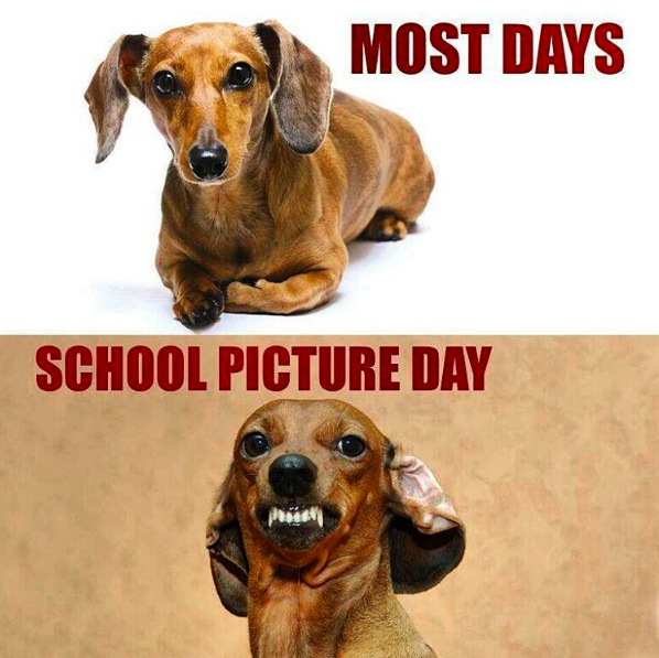 As parents, we all know picture day is time to remember exactly what your kid looked like at each stage in their life...