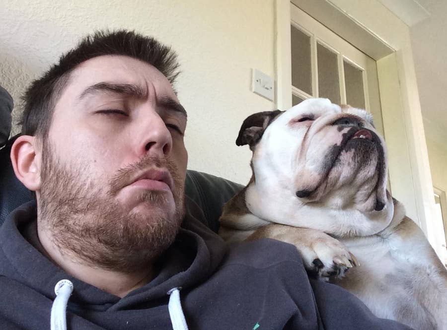 22 Reasons To Never Ever Adopt A Bulldog