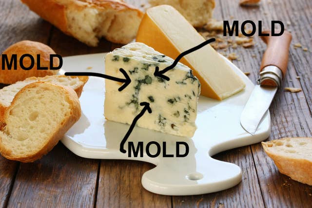 16 Things You Ll Only Understand If You Think Bleu Cheese Is Fucking Gross