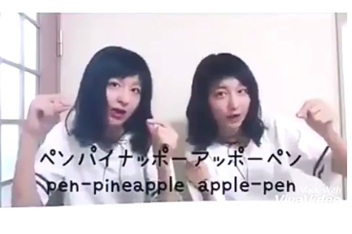 Pen pineapple apple pen