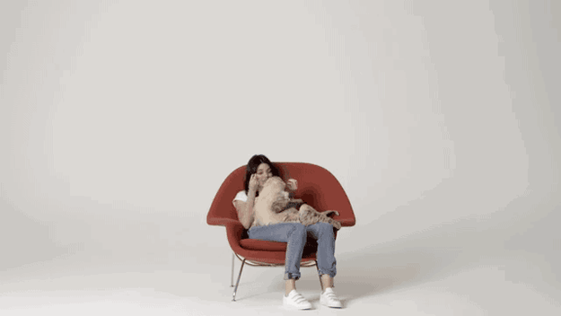 In a video for Allure, Kendall Jenner got to hang out with this sloth.