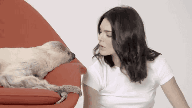 AND I'M JUST GONNA ADMIT THAT I'M REALLY JEALOUS OF THE SLOTH.