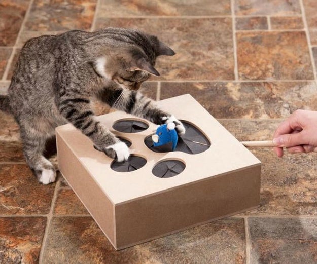 This Whack-A-Mouse set will help your cat become an expert hunter.