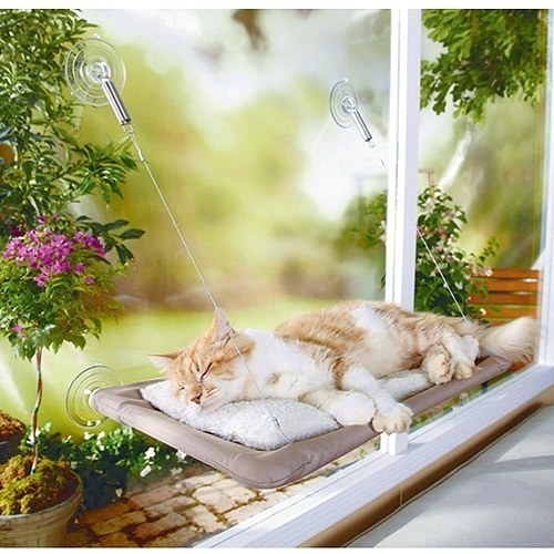 This suction cup sun bed lets your cat achieve maximum laziness.