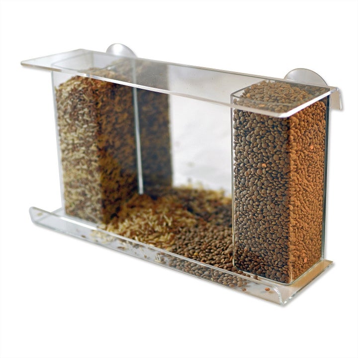 25 Affordable Products You Didn’t Know You Needed For Your Cat