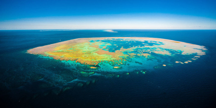 A new Australian government report says "good progress" is being made on protecting the Great Barrier Reef but doesn't outline any plan to tackle coral bleaching caused by climate change.
