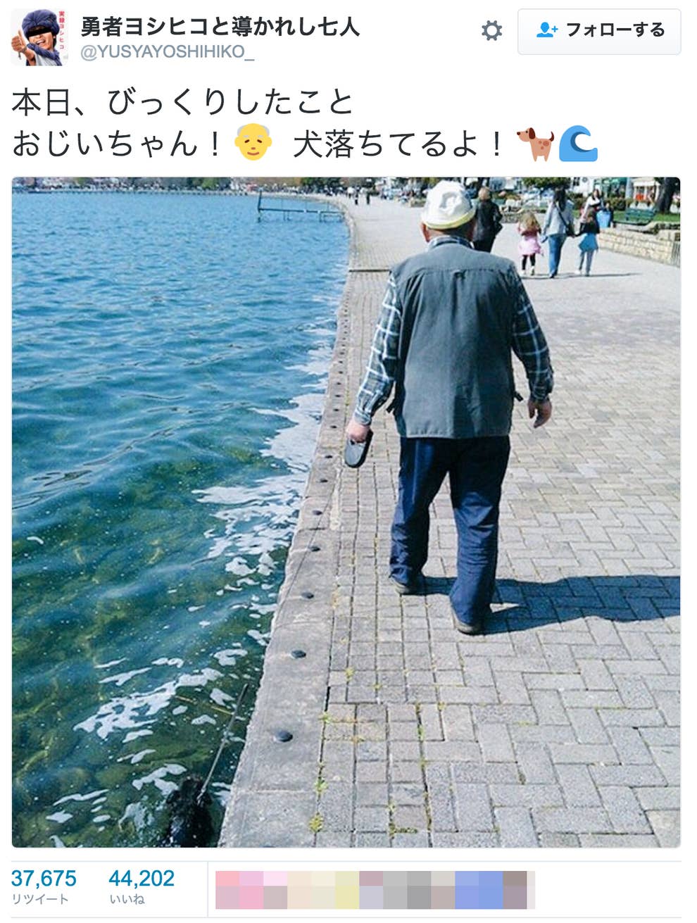 おじいちゃん 犬 海に落ちてるよ 画像が拡散 転載です おじいちゃん 犬 海に落ちてるよ 画像が拡散 転載です