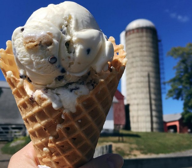 Are You Really An Ice Cream Expert?