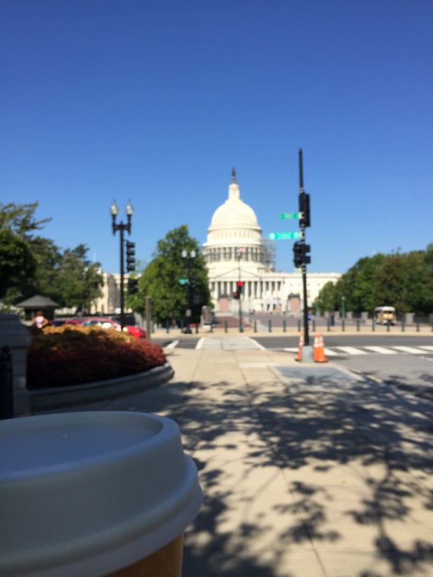I WANDERED DC BY MYSELF AND IT WAS AMAZING – RAE ROHM