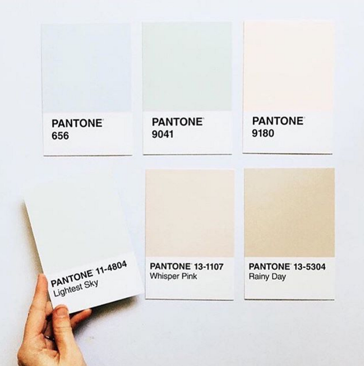 Pantone coconut milk. Пантон 9180. Цвет айвори пантон. Пантон 7527. Молочный цвет пантон.