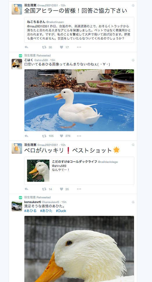 難問数独を3分で解読 羽生善治三冠のプライベートを妻が披露