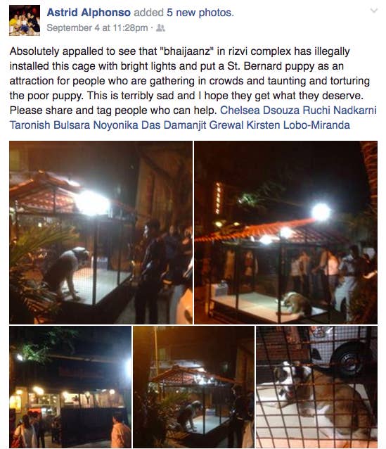 I Went To The Salman Khan Themed Restaurant Accused Of Animal Abuse And Here S What I Saw Contact salman khan on messenger. salman khan themed restaurant accused