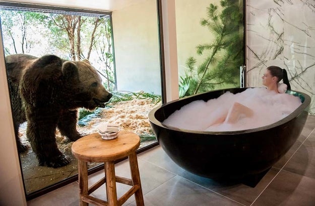 You can have a SLEEPOVER at the ZOO