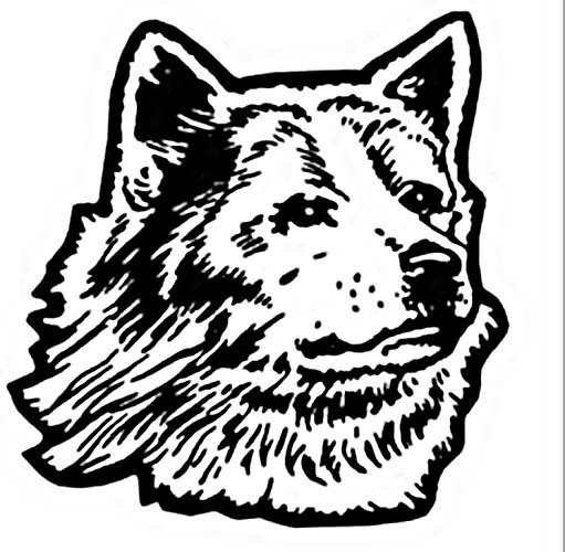 1970s Husky