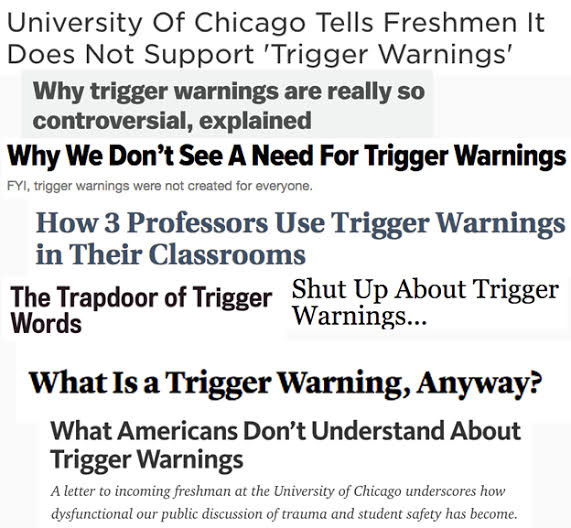 Though the University of Chicago letter is referring to concerns about academic freedom, it sparked a debate about the function and efficacy of trigger warnings in the classroom, especially as they relate to mental health and trauma.