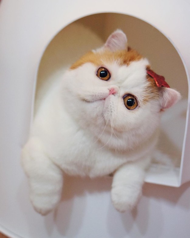 Nope!