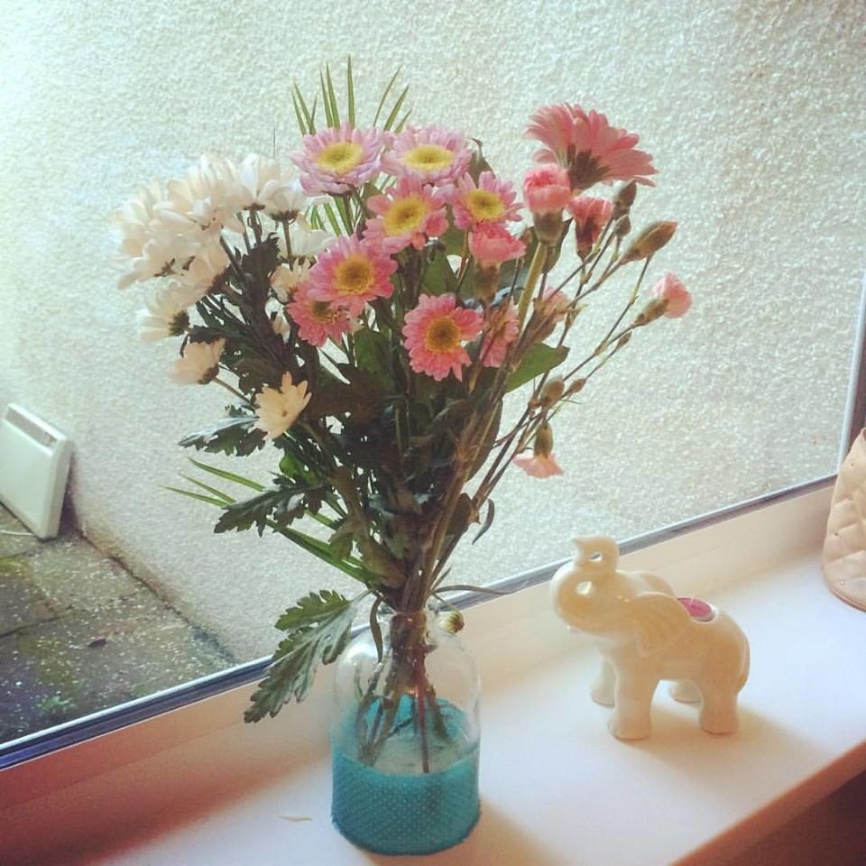 Low maintenance plants are ideal for lazy students. They make usually smelly uni rooms smell a lot better. They are also a very natural and beautiful way to liven up your room. If you are a better person than me, supermarkets sell relatively cheap flowers, and can be a lovely way to add colour to a room.