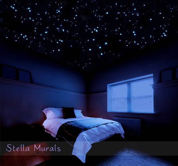 Glow in the Dark Star Ceiling  All The Wonders - Stella Murals