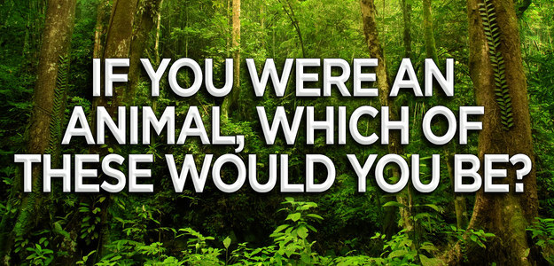 IF YOU COULD LIVE ON A TV SHOW FOR A MONTH WHICH ONE WOULD IT BE WAS visual data 7