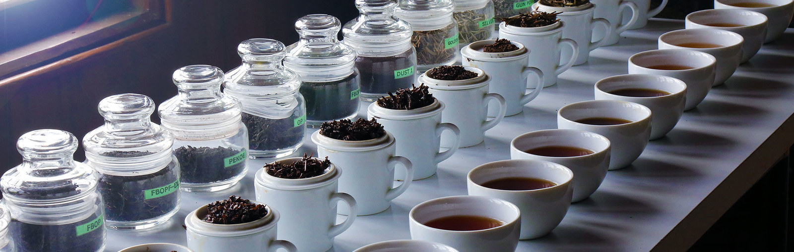 What’s a tea museum without a place to drink tea, am I right? Thankfully, the Tea Museum houses a tea cafe on the top floor, where you can enjoy a cup of freshly brewed tea, partake in some tea tasting activities and even buy some of your favorites from the outlet.