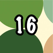 16