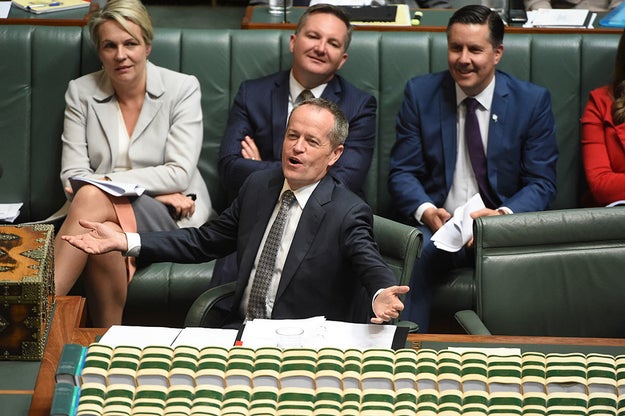 The Australian Labor party has officially decided to block the government's proposed same-sex marriage plebiscite, putting the final nail into the coffin of the controversial policy.