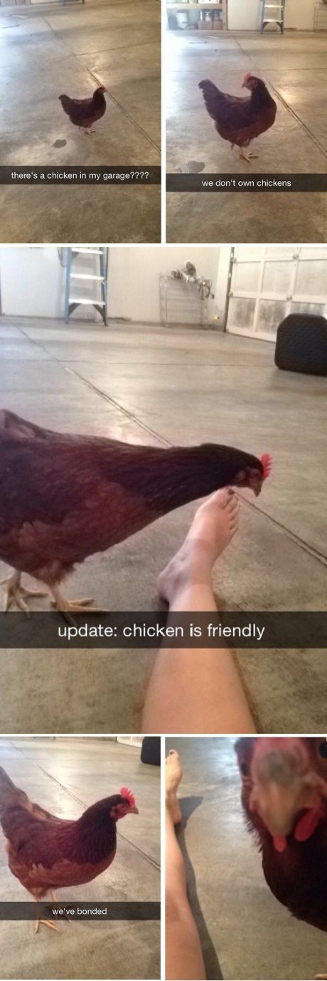 22 Snapchats That Are Just Really Fucking Funny