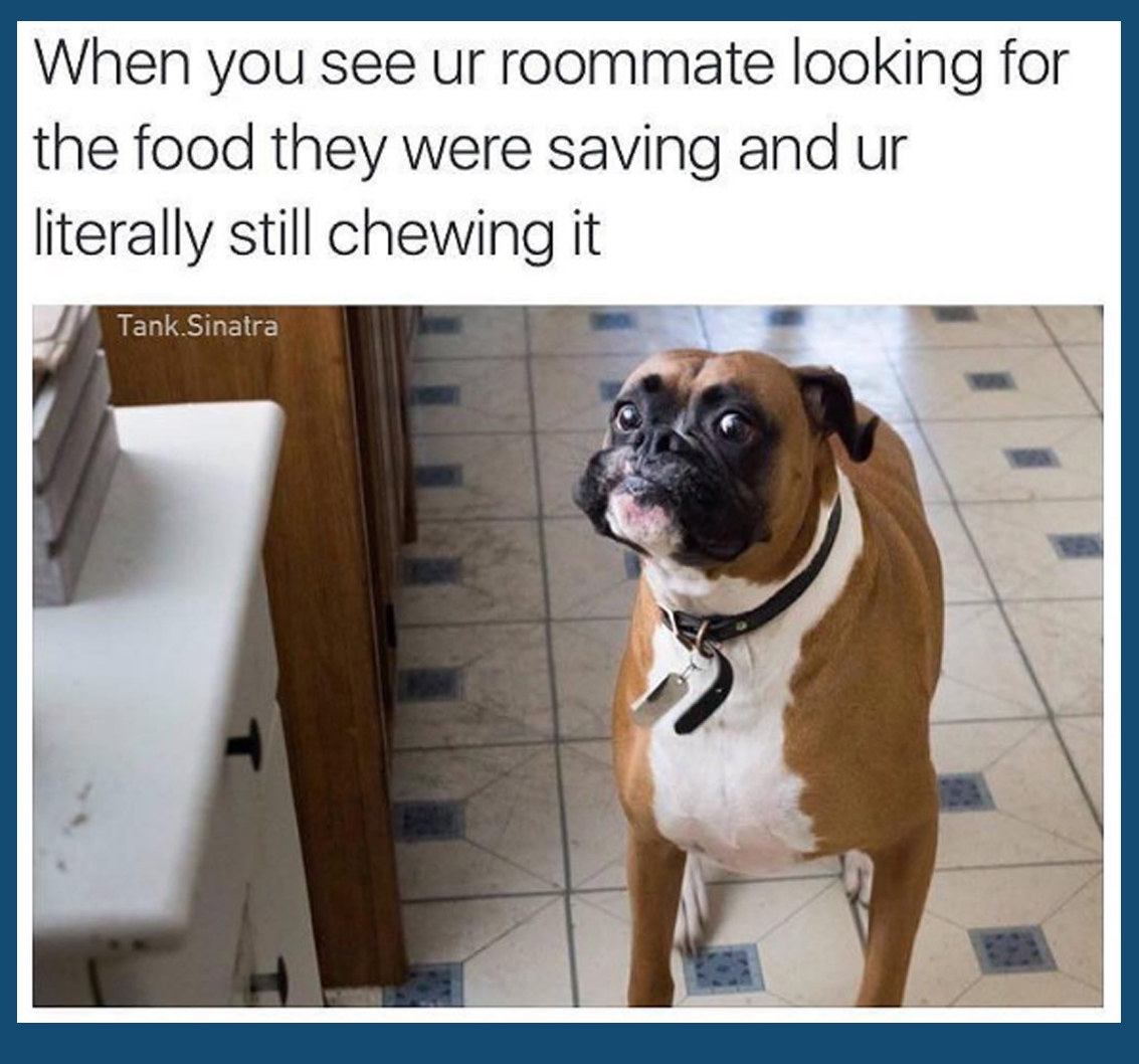 Show Us The Funniest Tumblr Post About Having Roommates