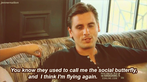 You're a social butterfly