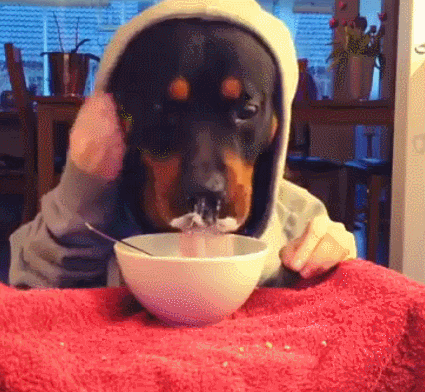 Cereal Pro
