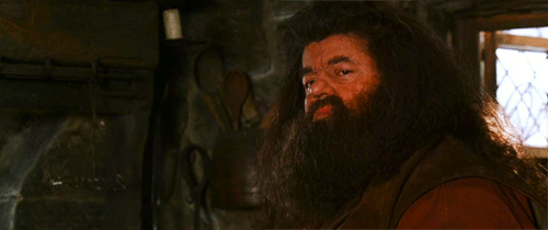 Rubeus Hagrid