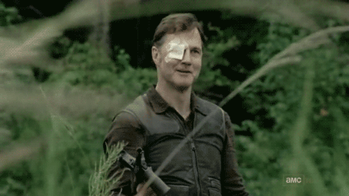 The Governor