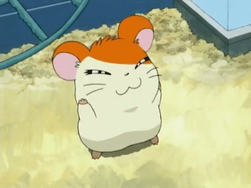 You remembered the names of some of the Ham Hams!