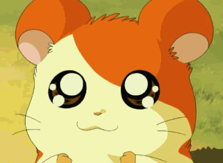 You remembered the names of the Ham Hams! Yay!