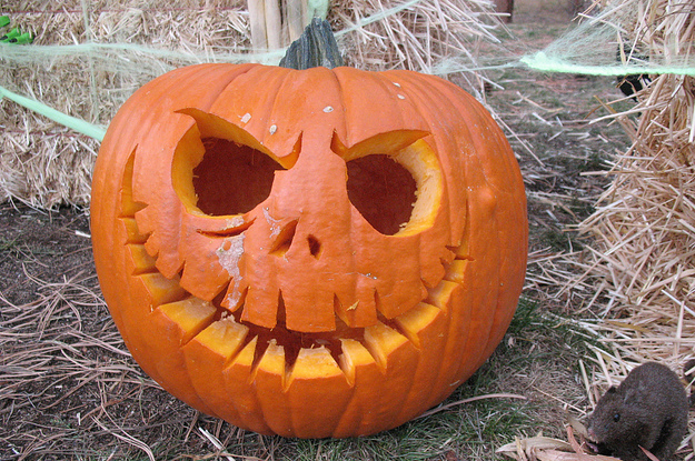 What Kind Of Jack-O'-Lantern Should You Carve This Year?