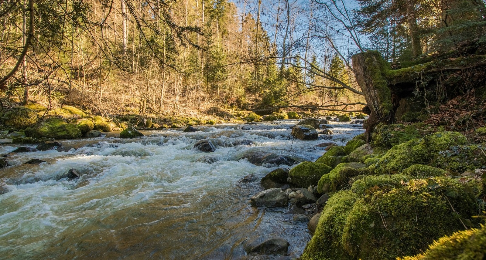 La Broye, près d'Oron
