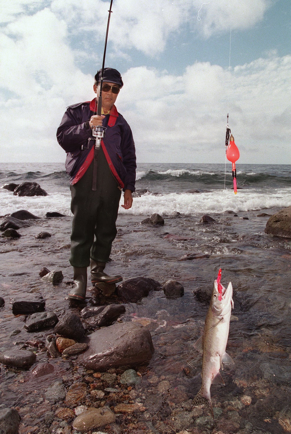 北海道民は釣ったサケをバットでシメるらしい 真相を確かめた