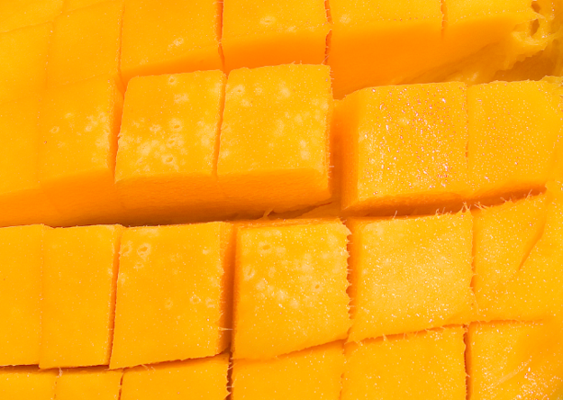 The Shocking Truth About Mantado That Explosively Changed How You Cook Every Day