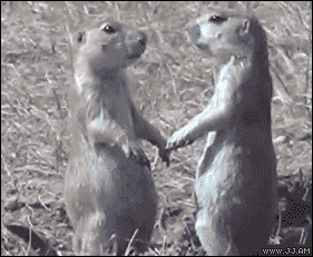 ドキッとさせてくるタイプ