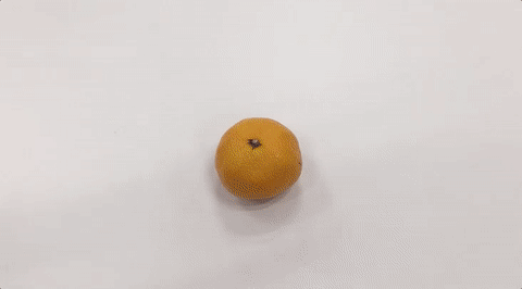 カッターを使うと楽チン!
